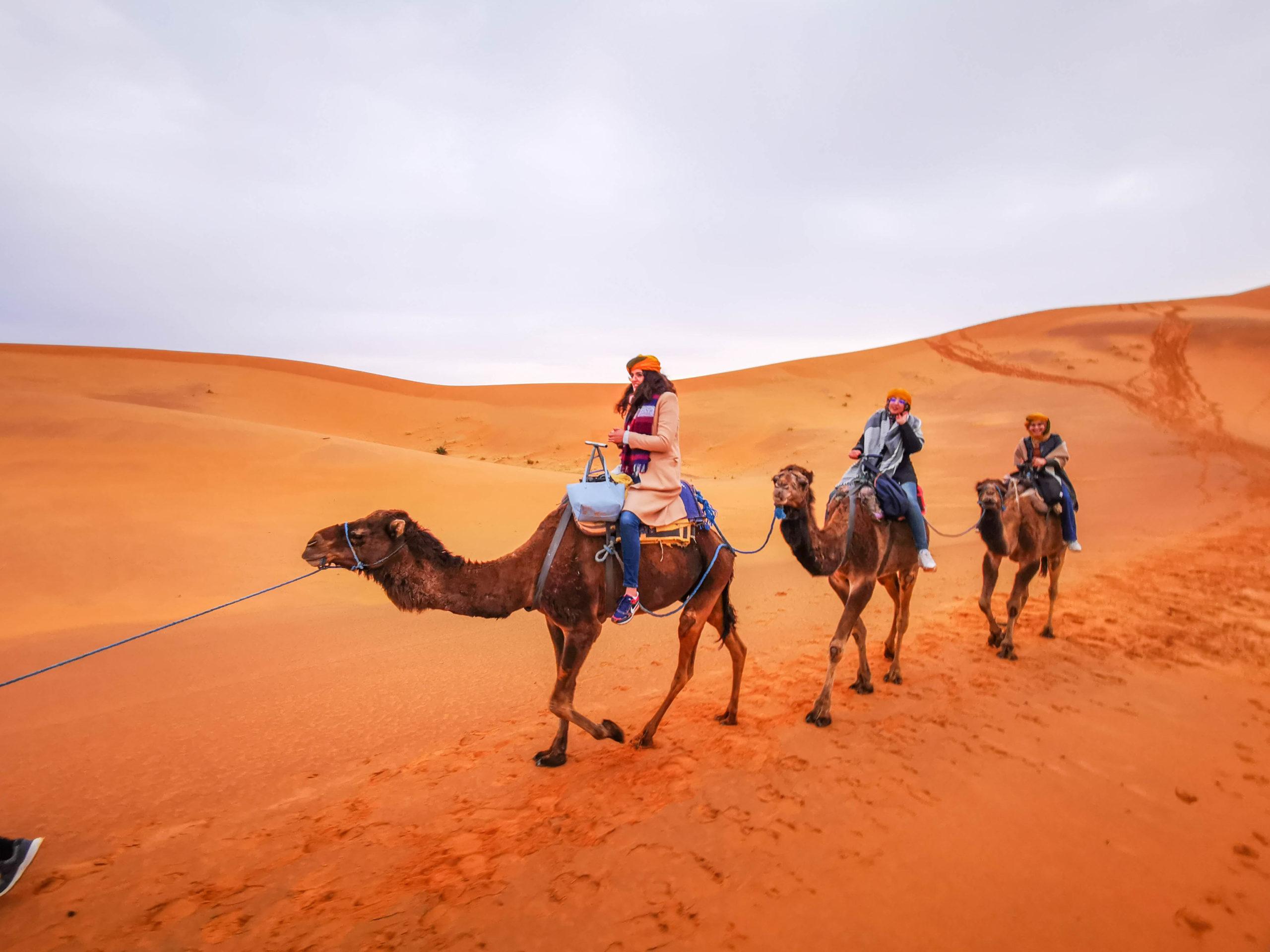 Balade en Chameau dans le Désert de Merzouga